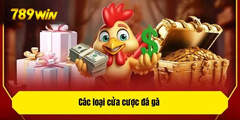 Các loại cửa cược đá gà